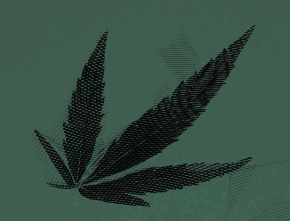 Hemp leaf A black hemp leaf with green background and retro filter