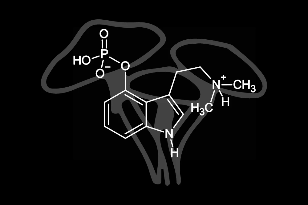 Diagram showing the molecular structure of psilocybin, a psychedelic compound found in magic mushrooms