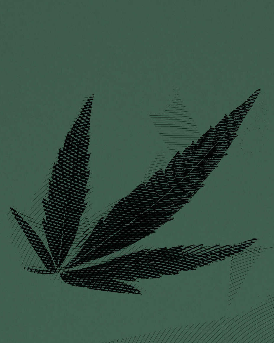 A black hemp leaf with green background and retro filter