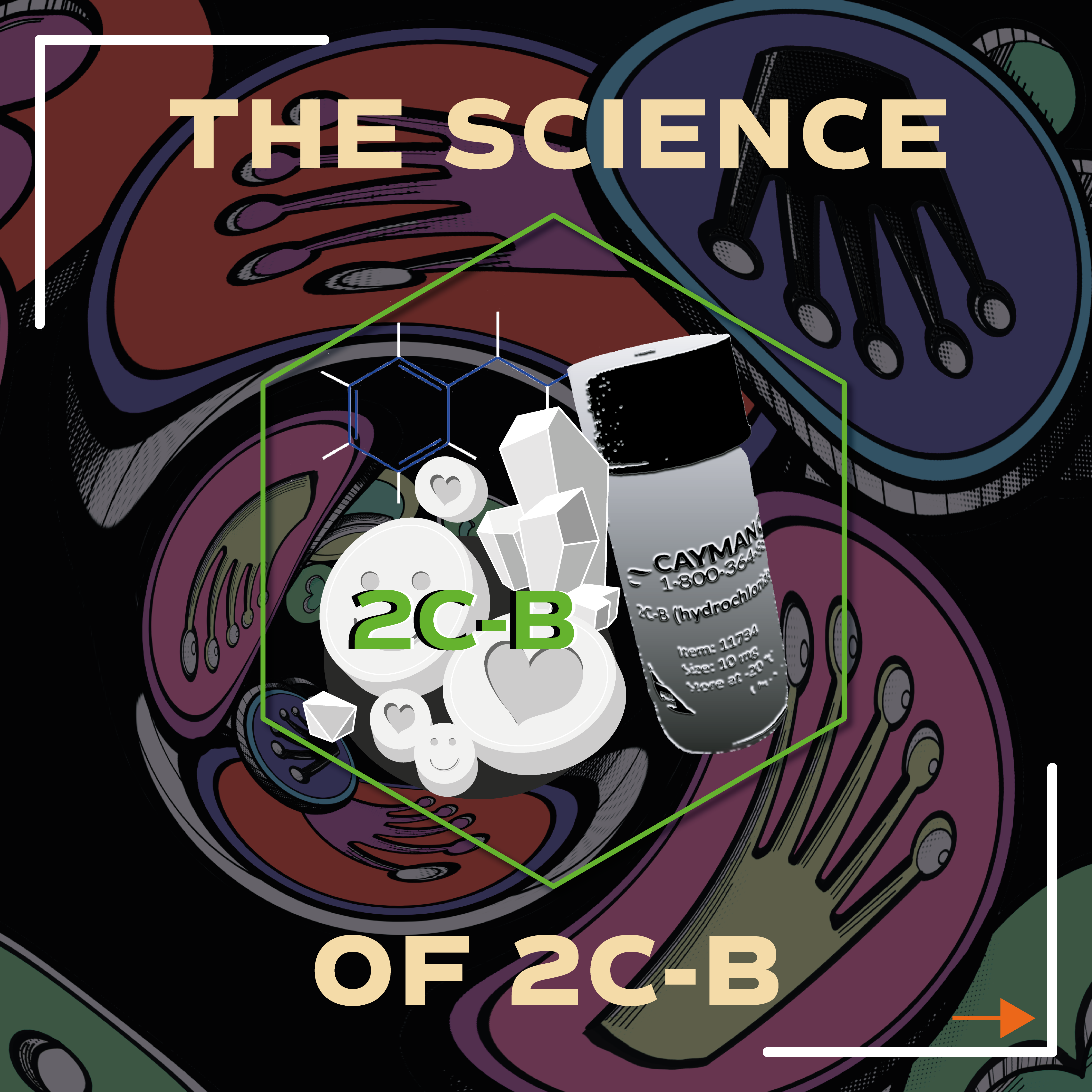 The Science of 2C-B