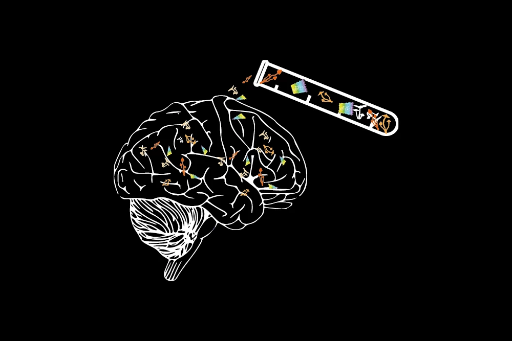 Abstract illustration of a brain with colorful neural connections, symbolizing the effects of microdosing mushrooms on cognitive research.