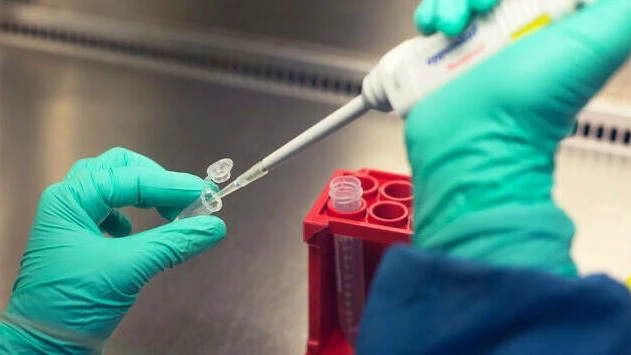 Laborarbeit mit Pipette Hände mit Nithrilhandschuhen pepitieren eine Flüssigkeit in einer Laborumgebung