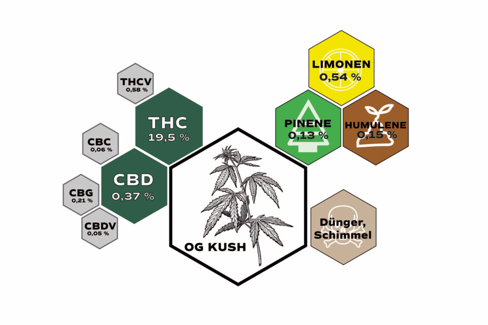 Übersichtsgrafik für Cannabisanalytik für Cannabinoide, Terpene und Schadstoffe